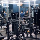 디벨롭짐 이미지