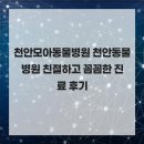 해맑은동물병원 | 천안모아동물병원 천안동물병원 친절하고 꼼꼼한 진료 후기