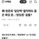 韓 청문회 '일당백' 활약에도 좁은 복당 문…'창당론' 꿈틀? 이미지