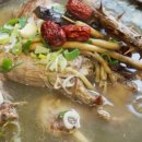 청둥이청둥오리 이미지