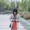 이안TL