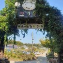 진인어린이집 이미지