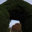 달천초등학교매현분교장 이미지