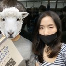 청하상회 이미지
