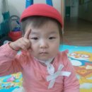 해빛1로 이미지