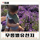 쌍용정문~무릉계입구 | &lt;아기랑 동해삼척 여행&gt;: 무릉별유천지·동해여행 가볼만한 곳·6개월 아기와 국내여행