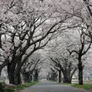 왕인박사유적지 주차장 이미지