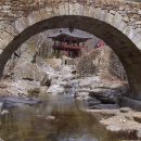 송광약국 이미지