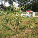 참살이농장 이미지