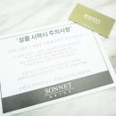 보니소네트 이미지