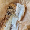 군산박대삼촌 이미지