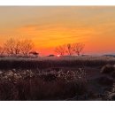 하늘공원 이미지