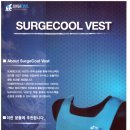 이노써지 이미지