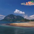 ㈜오렌지렌트카 이미지