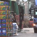 원양청과 티스토리