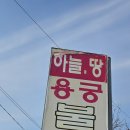 용궁장식 - 예천군 용궁로 114-1 | 원주사주 퇴사 고민부터 사업운 금전운까지 흐름 잡은 하늘땅용궁불사 후기