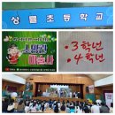 상률초교 이미지