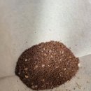 방배로 14 (8) 이미지