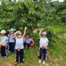 서호농장 이미지