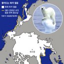북극얼음