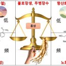 도해식품 이미지