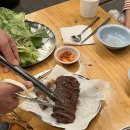 다옴 애견동반 펜션 이미지