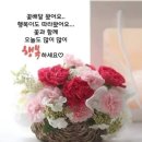 💬8/19] 굿모닝.이뿐 수욜되세요 이미지