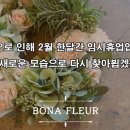 플레르솜 이미지