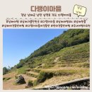어서오시다 | ⁠[내돈내산]남해 다랭이마을, 저질체력의 108계단