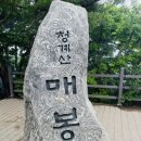 소유치과의원 네이버블로그