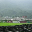 일동용암천 이미지