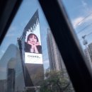 태국 방콕 4박 5일 가족여행 (4) l 왓포 막카마사지 slowbar카페 유사톤방콕