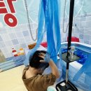 유아노리