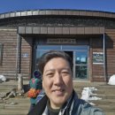 이모하여행사 이미지