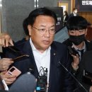 정진석 카카오 검색결과