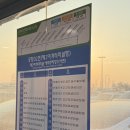 다미도넛(DESSERT CAFE) | [후쿠오카+유후인] 1일차 유후인 후기