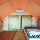 텐타우스 이미지