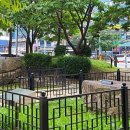 창원 외동지석묘 이미지