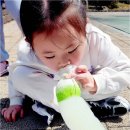튼튼한어린이집 네이버블로그