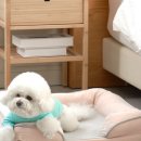 우리고급세탁 이미지