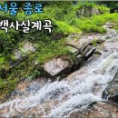 1023차6/16(화)백사실계곡 트레킹 이미지