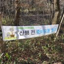 캐일리
