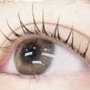 주부토로81번길 이미지