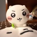 럽럽럽