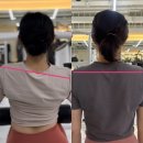 상남동236 | [반림동헬스장/반림동PT] 헬스장 고민이신가요? 여름특가할인