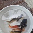 가남낚시터 이미지