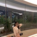 입어나보세 - 음성군 무극로 320 | 입어나보세
