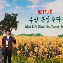 넷플릭스 시리즈 (Netflix Series) ‘폭싹 속았수다’ 제작발표회 비하인드 이미지