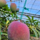 만민농원 이미지