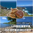테디스베어
